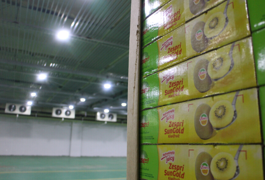 水果冷藏库出租